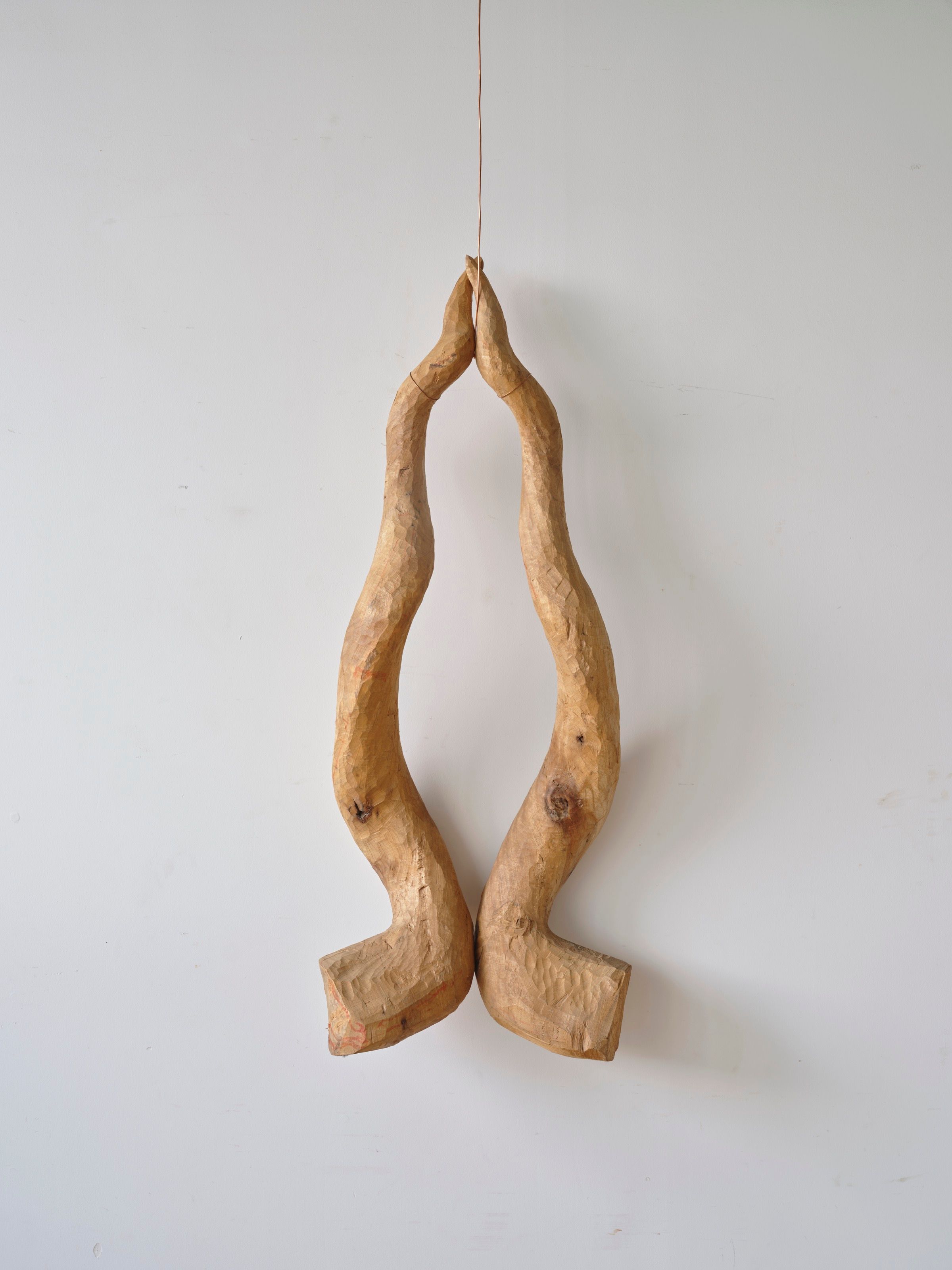 Overall view of the Horns sculpture.