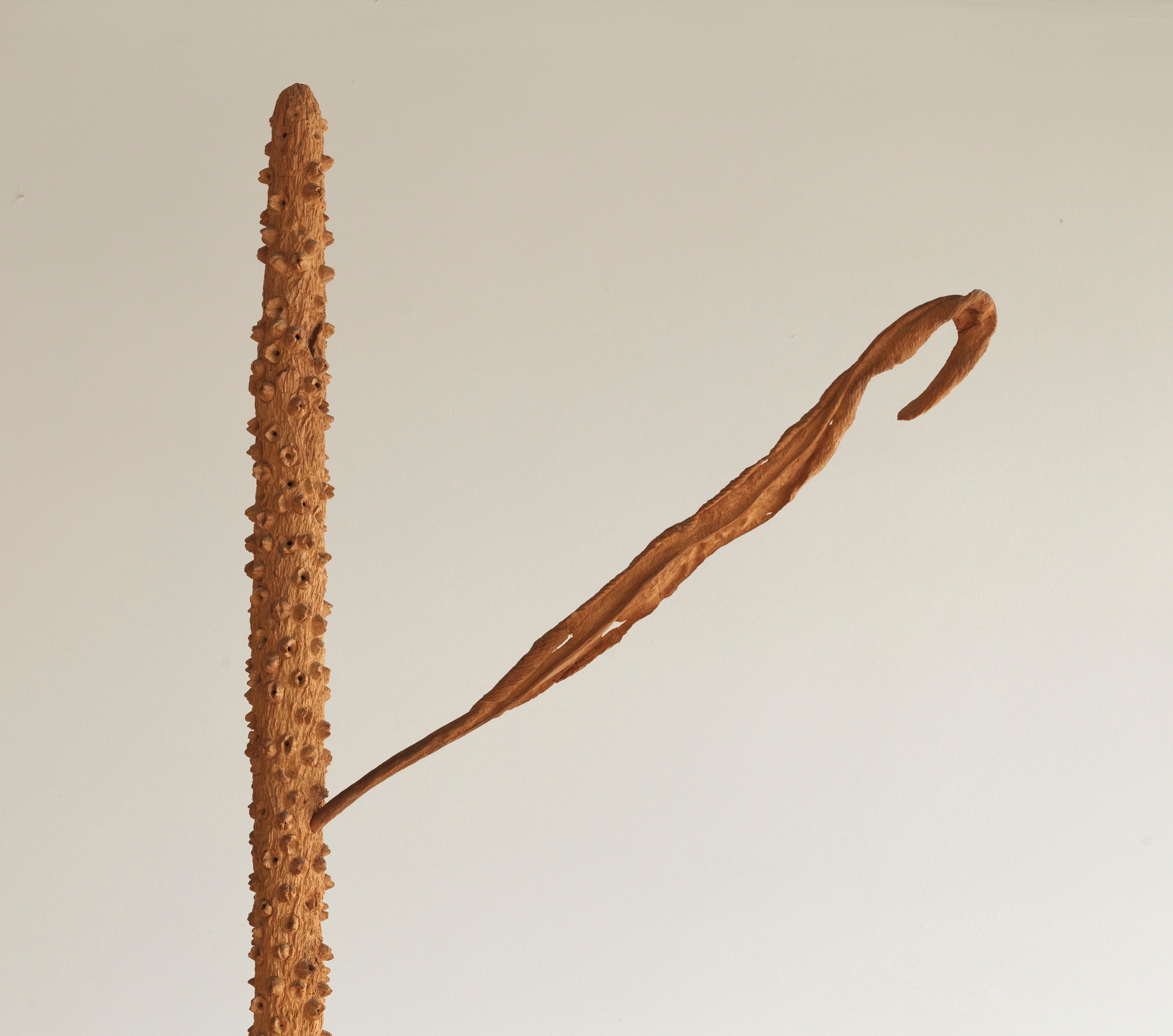 Detail view of the Hybrid sculpture.