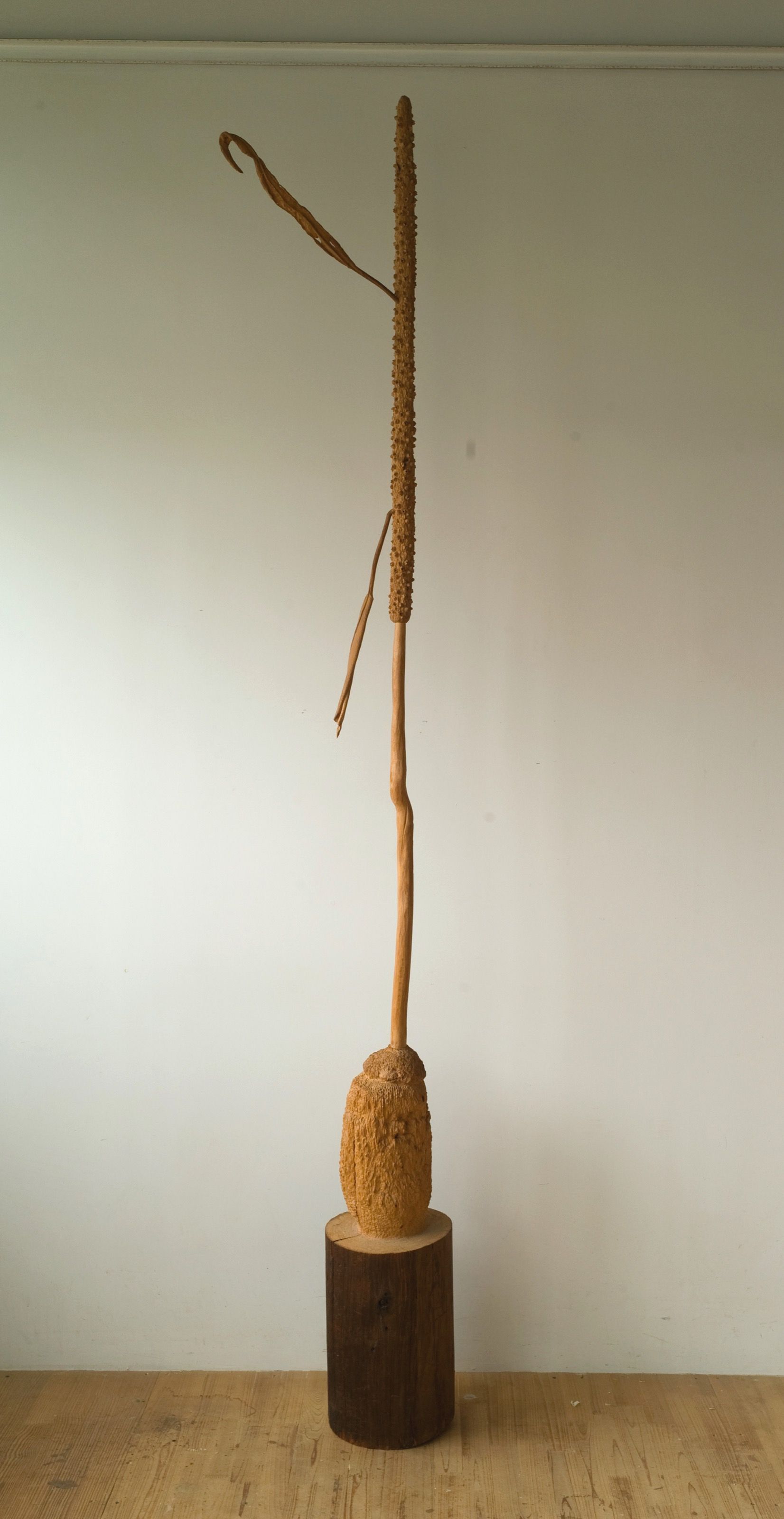 Overall view of the Hybrid sculpture.